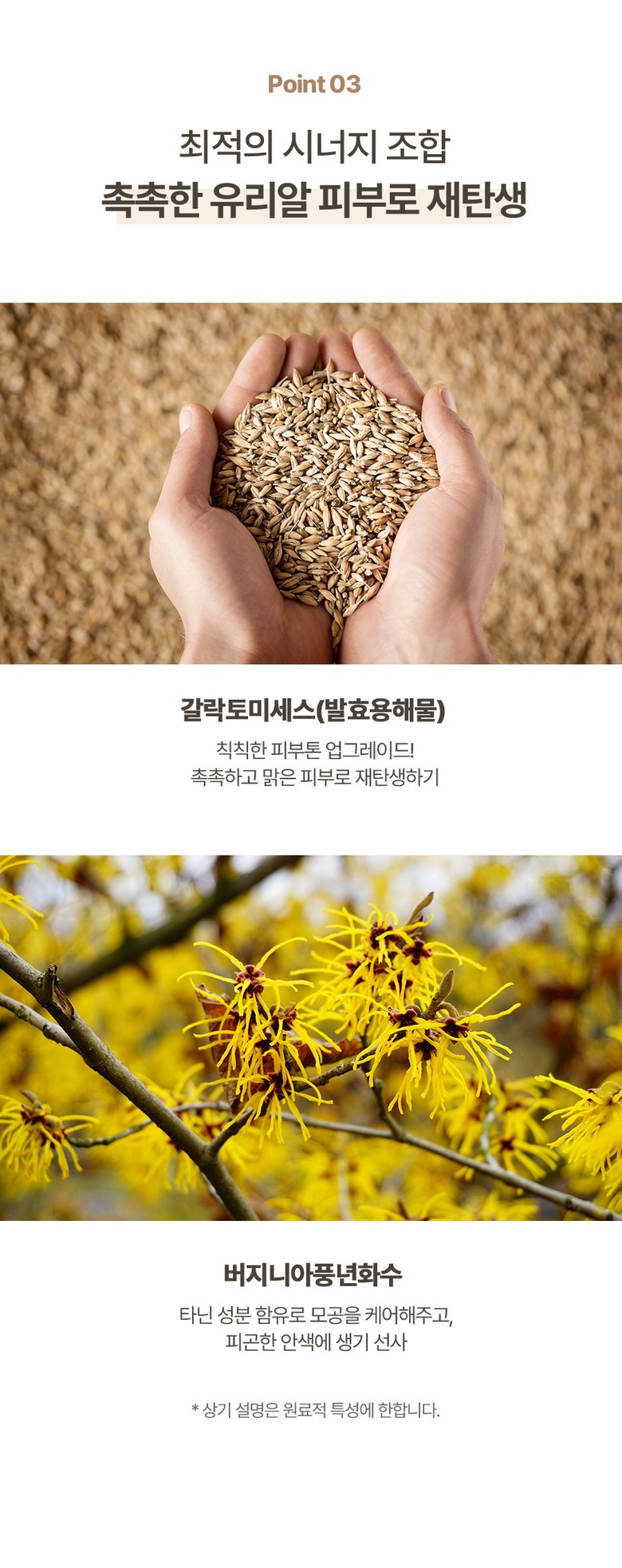 {IDB) In Your Heart Calming Care Cream